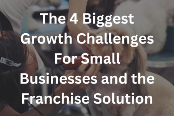 image of The 4 Biggest Growth Challenges For Small Businesses and the Franchise Solution